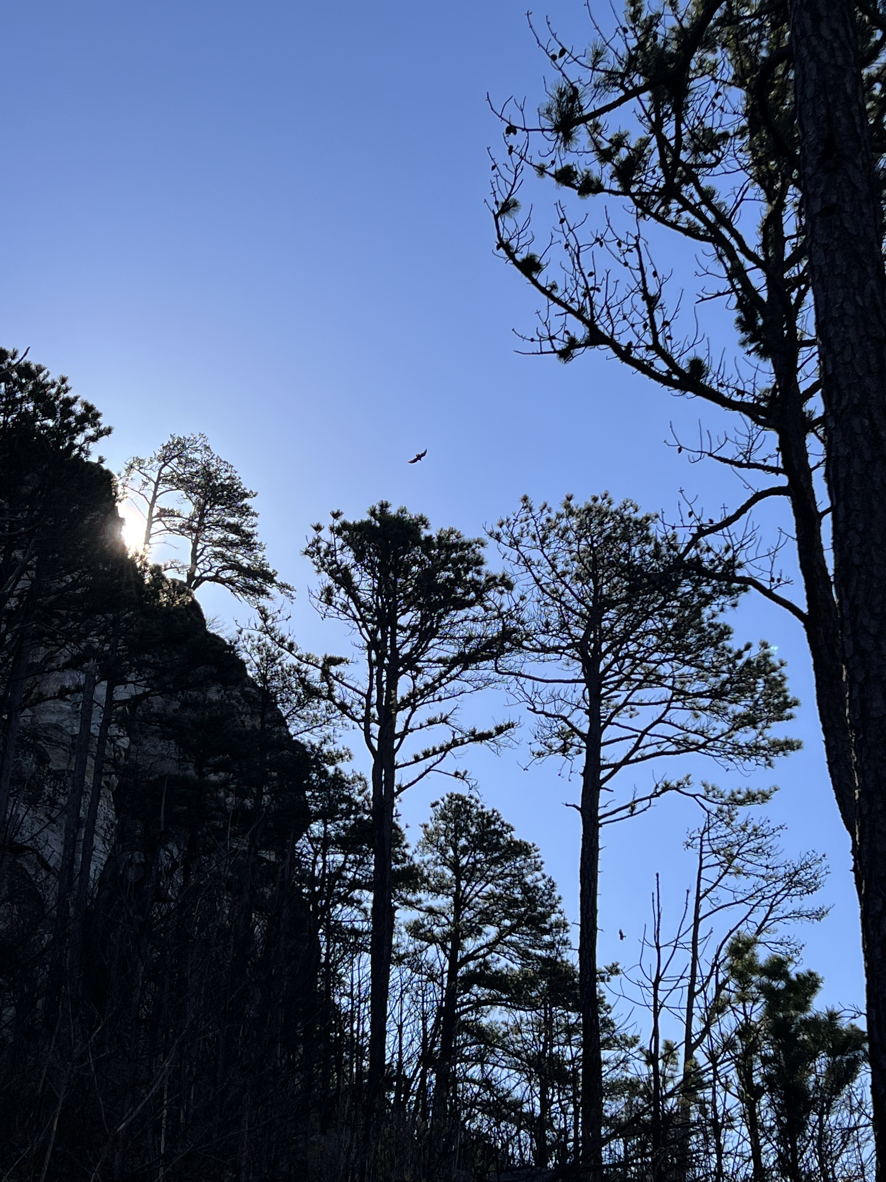 ./2023/05 - Toni Adventures/IMG_3006(1).jpg